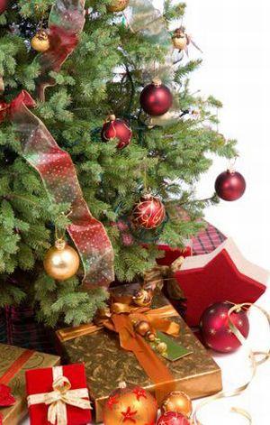 Quem inventou a Árvore de Natal? – Apostolado do Oratório